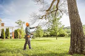 Best Tree Health Inspection  in Central Park, WA